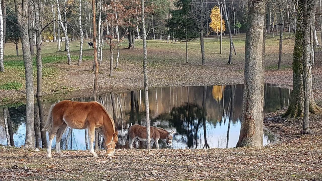 Villa Cheval Aukštadvaris Eksteriør billede