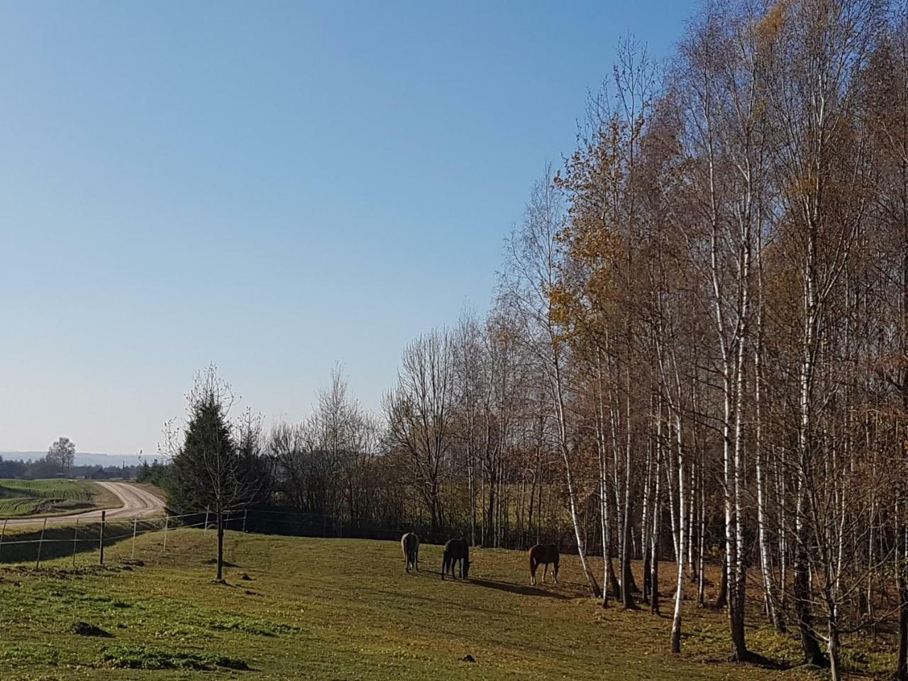 Villa Cheval Aukštadvaris Eksteriør billede