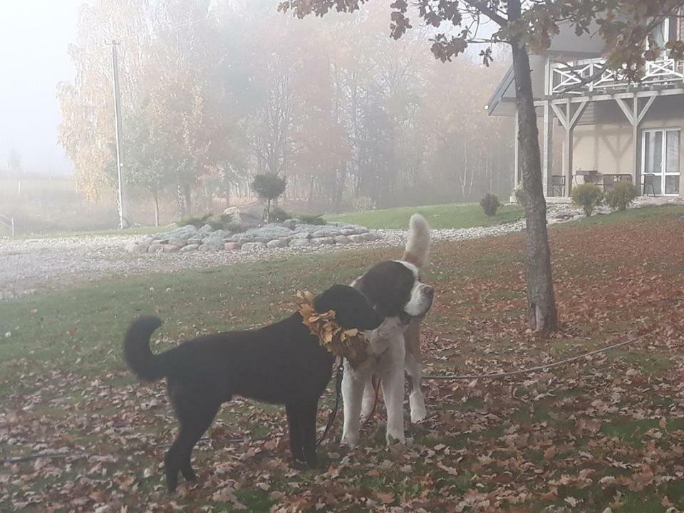 Villa Cheval Aukštadvaris Eksteriør billede