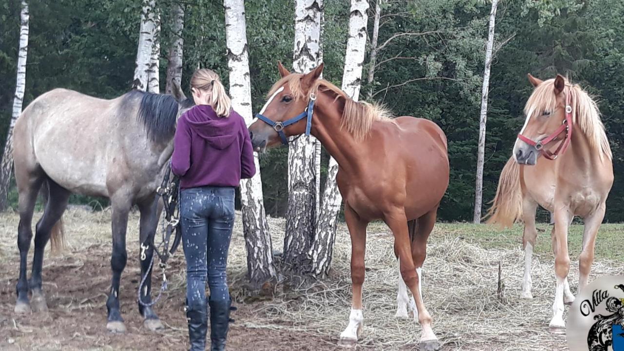 Villa Cheval Aukštadvaris Eksteriør billede